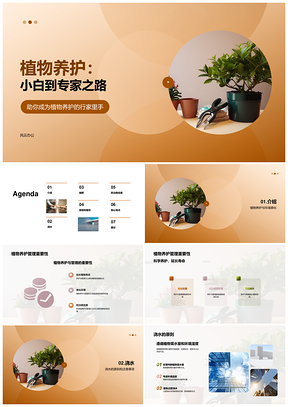 植物养护管理全攻略新手到专家PPT模板