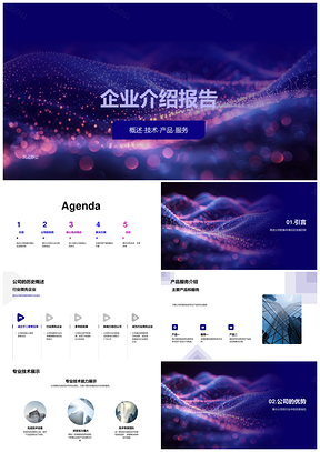 企业专业技术团队高性价比服务实力展示PPT模板