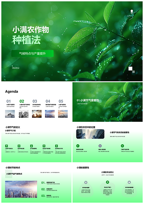小满气候温度农作物种植产量提升PPT模板