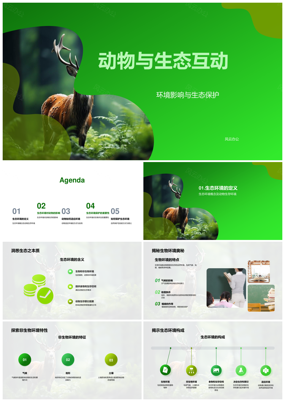 动物生态互动环境影响与森林基因保护PPT模板