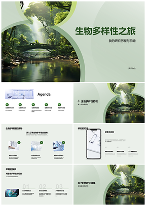 热带雨林生物多样性研究学术竞聘PPT模板