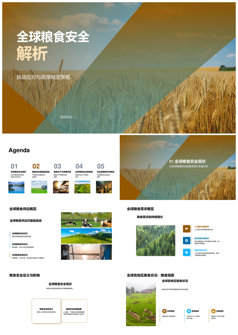 全球粮食安全气候变化农业政策产消需求生物多样性PPT模板