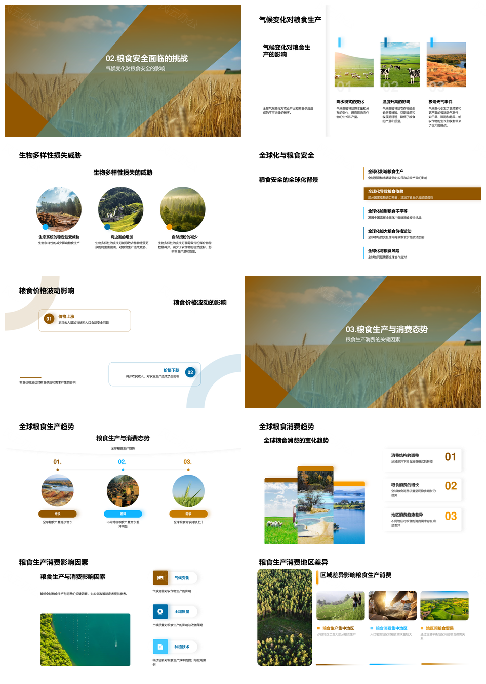 全球粮食安全气候变化农业政策产消需求生物多样性PPT模板