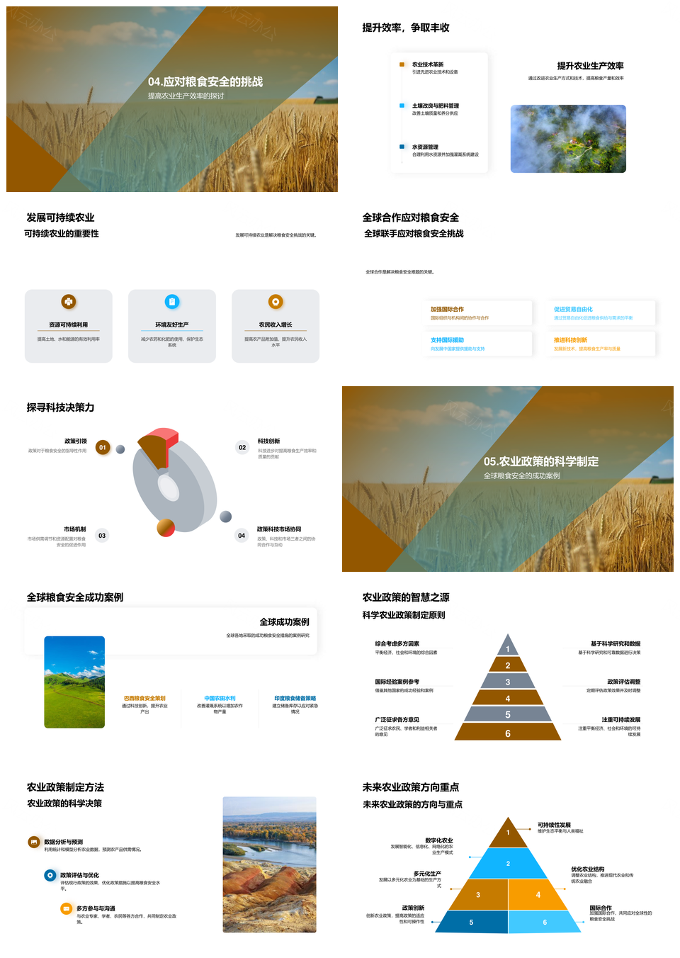 全球粮食安全气候变化农业政策产消需求生物多样性PPT模板