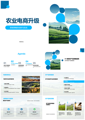 农业电商营销策略升级助力农产品销售PPT模板