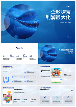 企业利润最大化决策市场因素与策略PPT模板