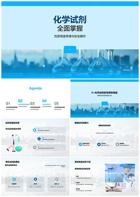 化学试剂性质用途存储安全操作酸碱有机防护装备PPT模板