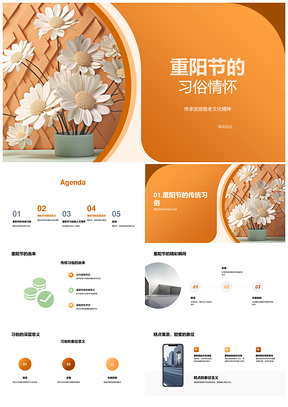 重阳敬老登高赏菊品糕传统习俗PPT模板