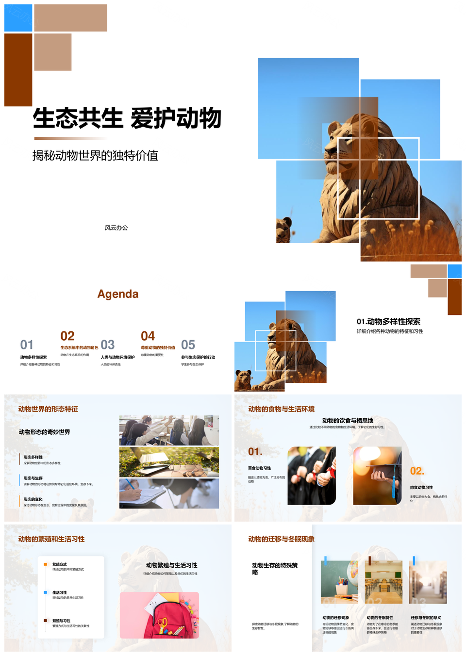 狮蜂共生爱护动物生态保护PPT模板