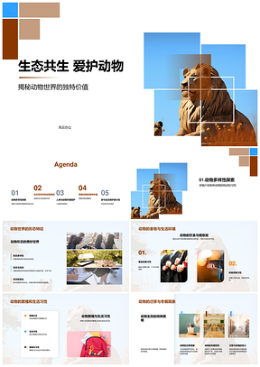 狮蜂共生爱护动物生态保护PPT模板