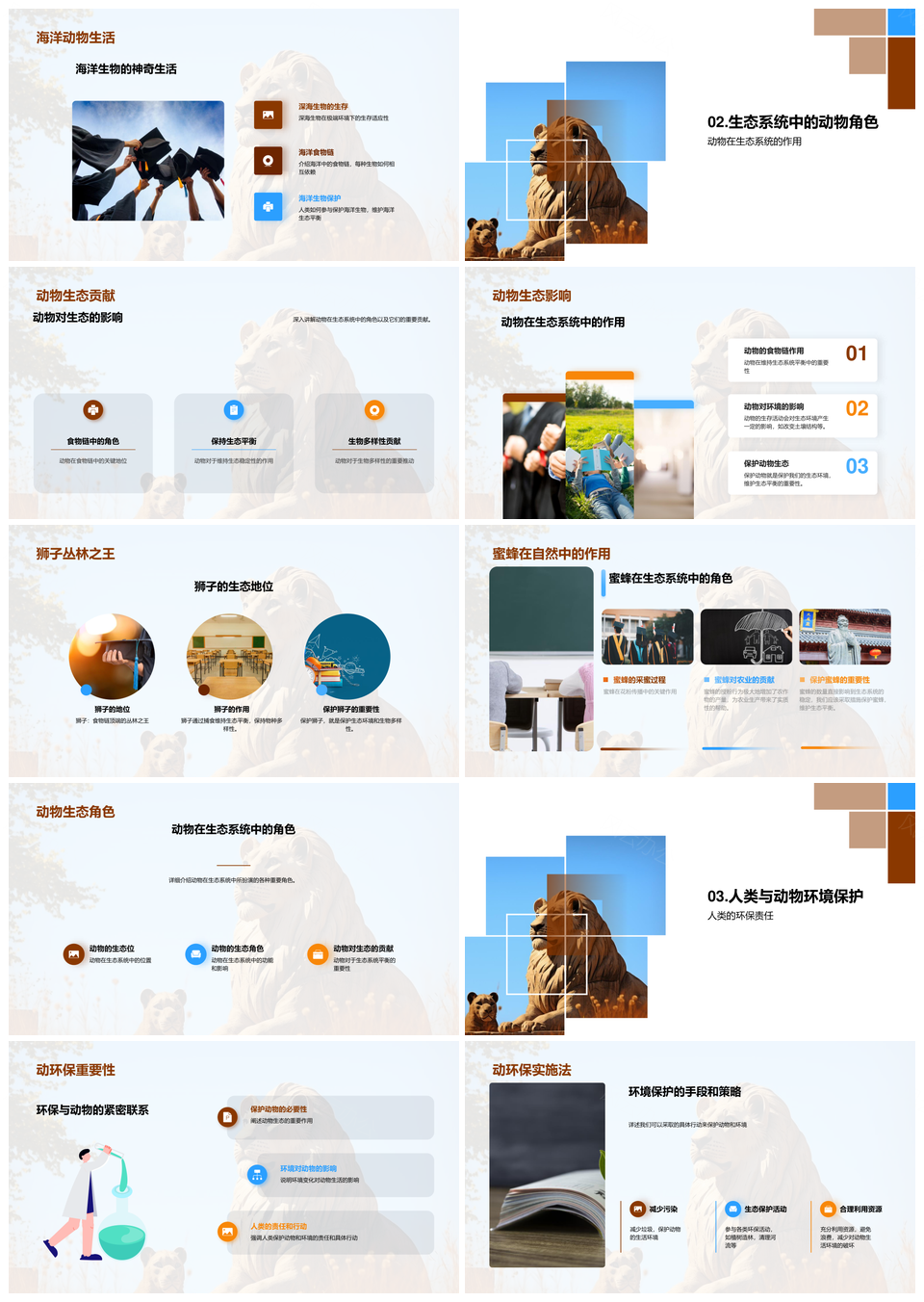 狮蜂共生爱护动物生态保护PPT模板
