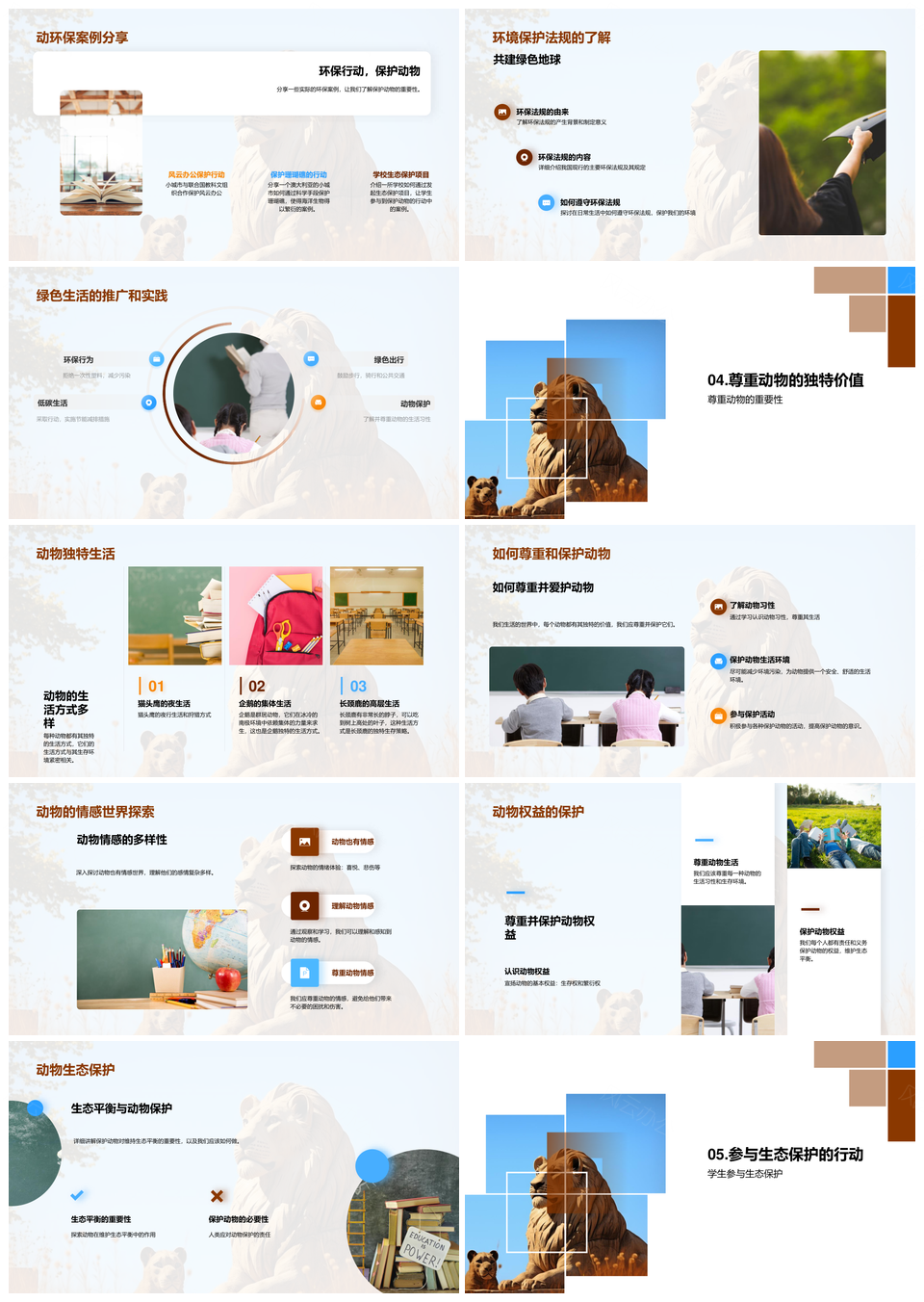 狮蜂共生爱护动物生态保护PPT模板