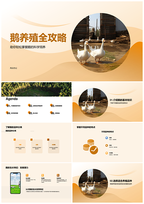 鹅饲养技巧品种特点与养殖环境要求指南PPT模板