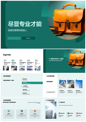 专业技能经验简历吸引招聘经理面试机会PPT模板