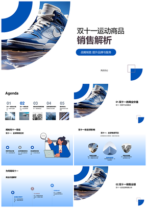 双十一运动品牌全球销售目标与消费解析PPT模板