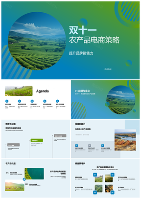 双十一农产品电商精准营销提升品牌销售力PPT模板