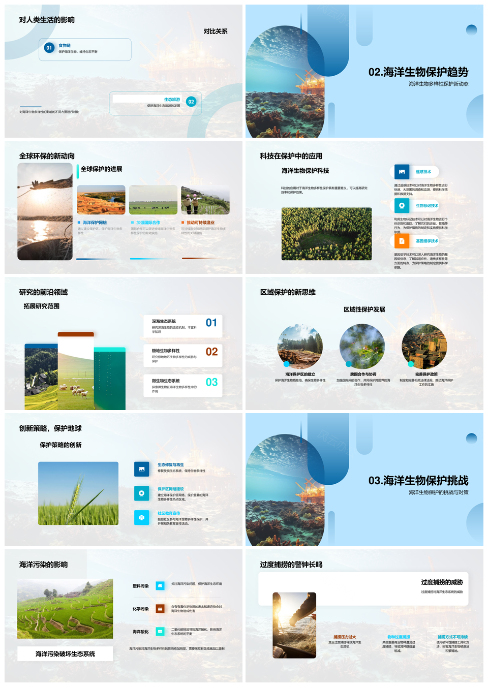 海洋生物多样性全球保护与科研探索PPT模板