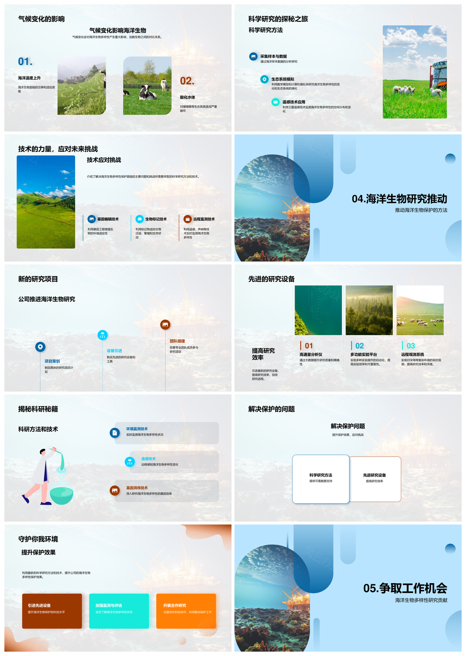 海洋生物多样性全球保护与科研探索PPT模板