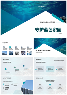 守护海洋生态平衡遏捕捞污染合作PPT模板
