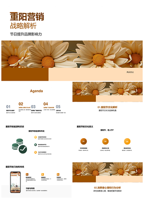 重阳品牌战略推广解析消费心理菊花销量PPT模板