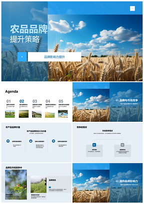 农品品牌质服优化提升市场竞争影响力PPT模板