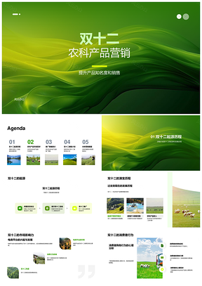 双十二农科产品直播营销策略需求消费分析PPT模板