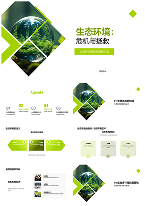 人类活动生态危机与生物多样性保护PPT模板