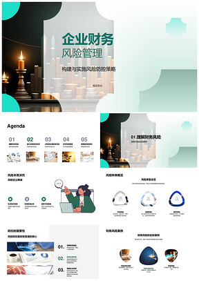 企业财务风险防控体系构建策略PPT模板