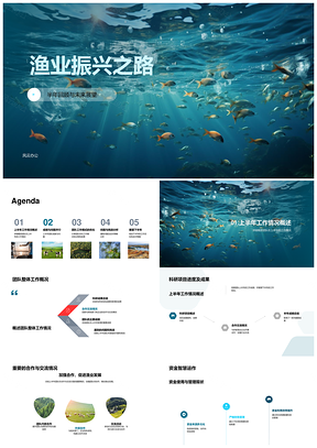 渔业振兴团队半年科研合作优化挑战渔网PPT模板