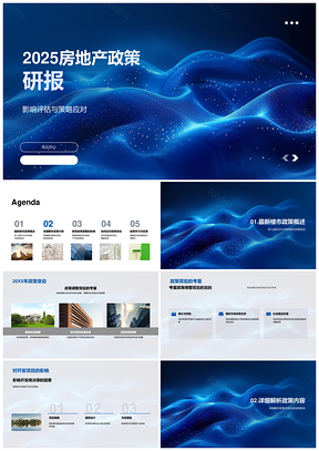 202520XX房地产政策调整开发商风险管理土地项目PPT模板
