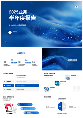 2025半年度业务增长运营提升新拓产品调整体验优化策略调整回顾PPT模板