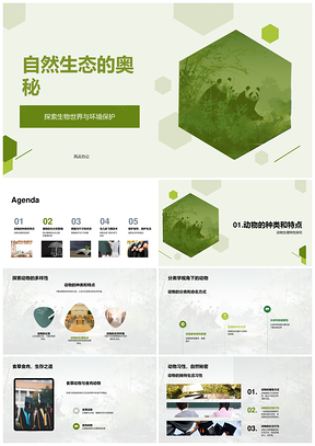自然生态动物多样性食草食肉保护色探秘PPT模板