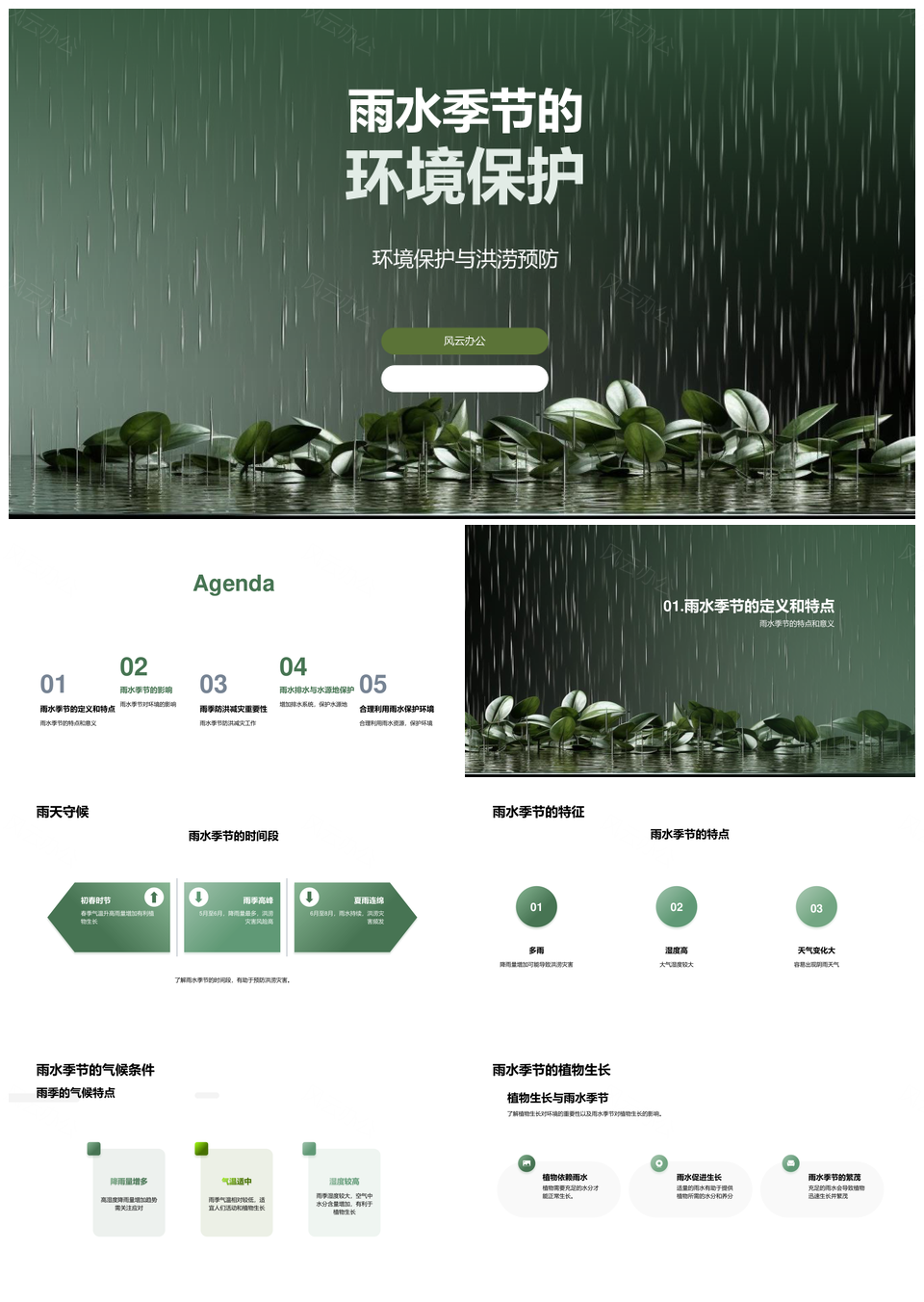 雨水季节环保防洪涝护植物生长PPT模板