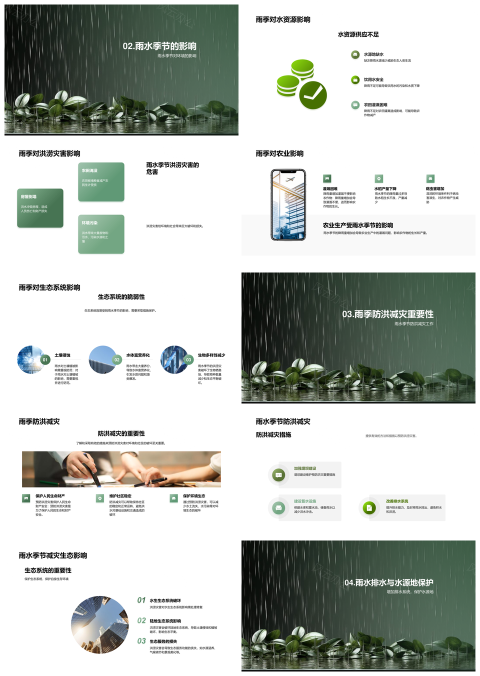 雨水季节环保防洪涝护植物生长PPT模板