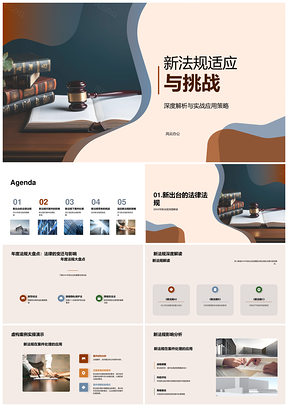 2025法务团队新规案件处理策略风险解析PPT模板