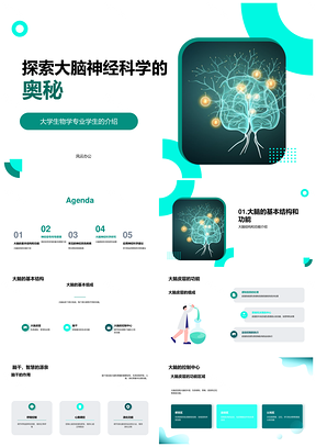 大脑结构功能神经信号传导与疾病PPT模板