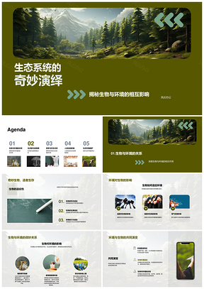森林生态系统生物适应环境竞合链网共生PPT模板