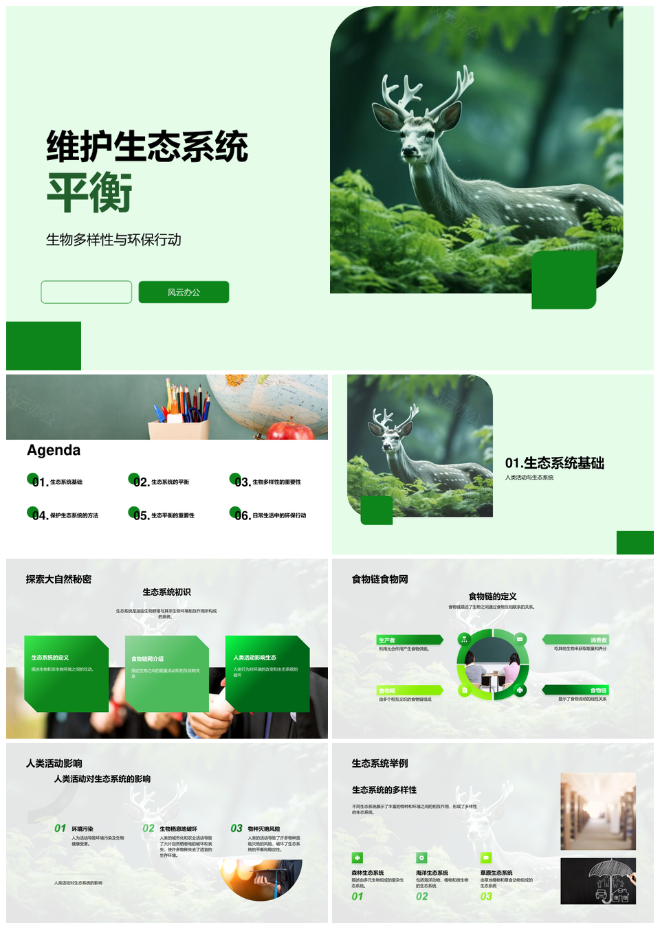 维护生态平衡护生物多样性环保行动保森林PPT模板