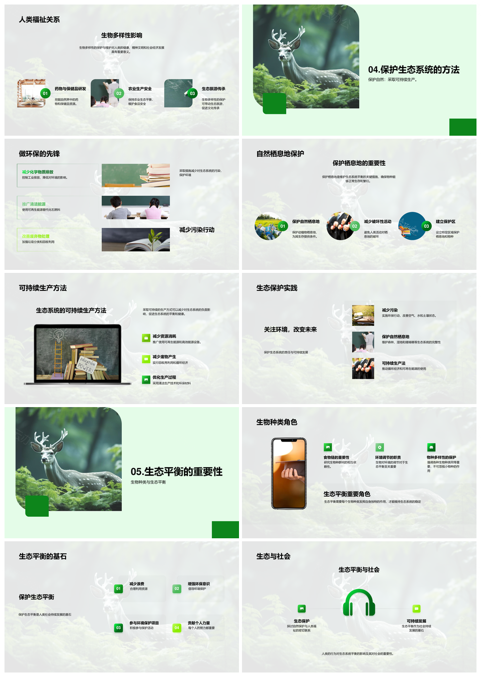 维护生态平衡护生物多样性环保行动保森林PPT模板