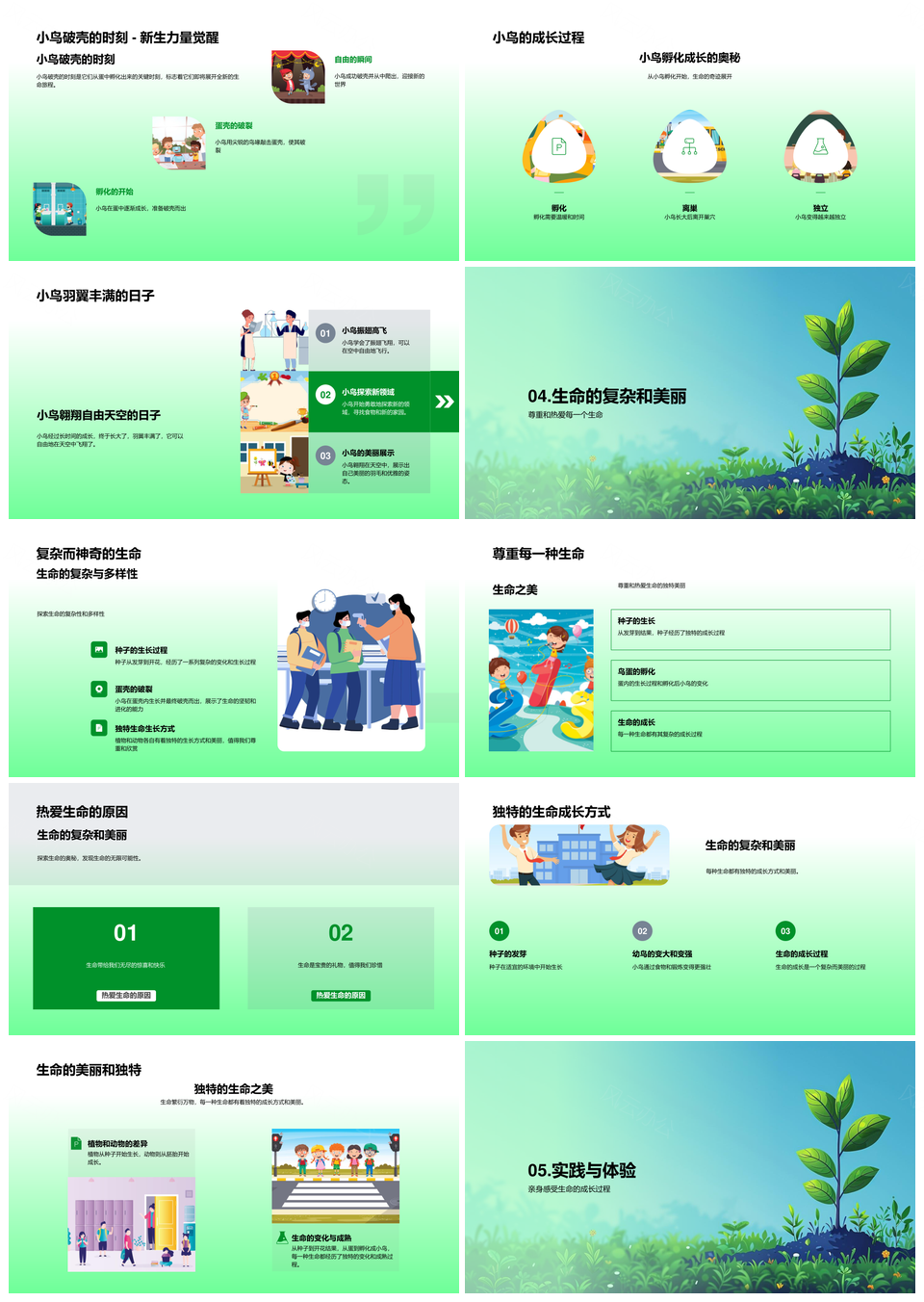生命成长科学动植物生长孵化起源奥秘PPT模板