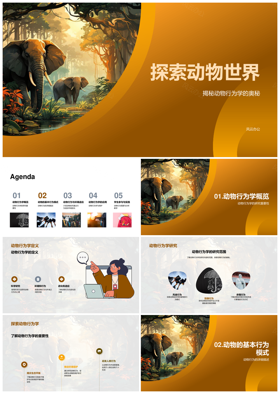 动物行为学揭秘丛林生存繁衍策略PPT模板