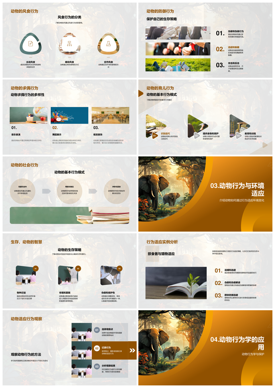 动物行为学揭秘丛林生存繁衍策略PPT模板