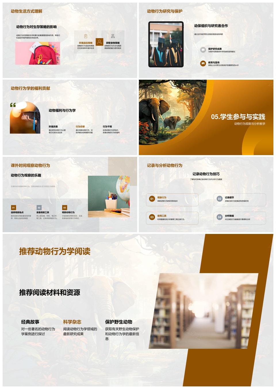 动物行为学揭秘丛林生存繁衍策略PPT模板