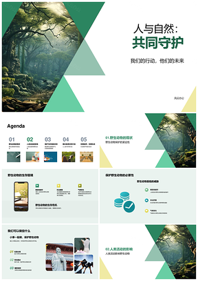 人与自然共护野生动物保生物多样性PPT模板