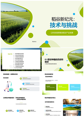 稻谷种植全球发展史与农经趋势PPT模板
