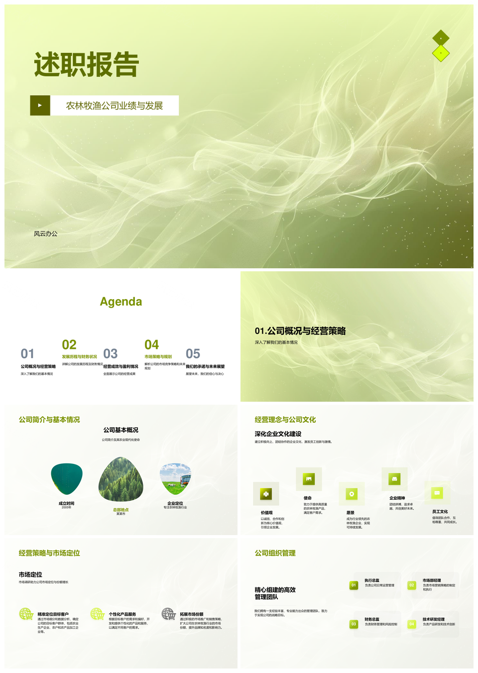 农林牧渔公司经营策略管理财务市场述职报告PPT模板