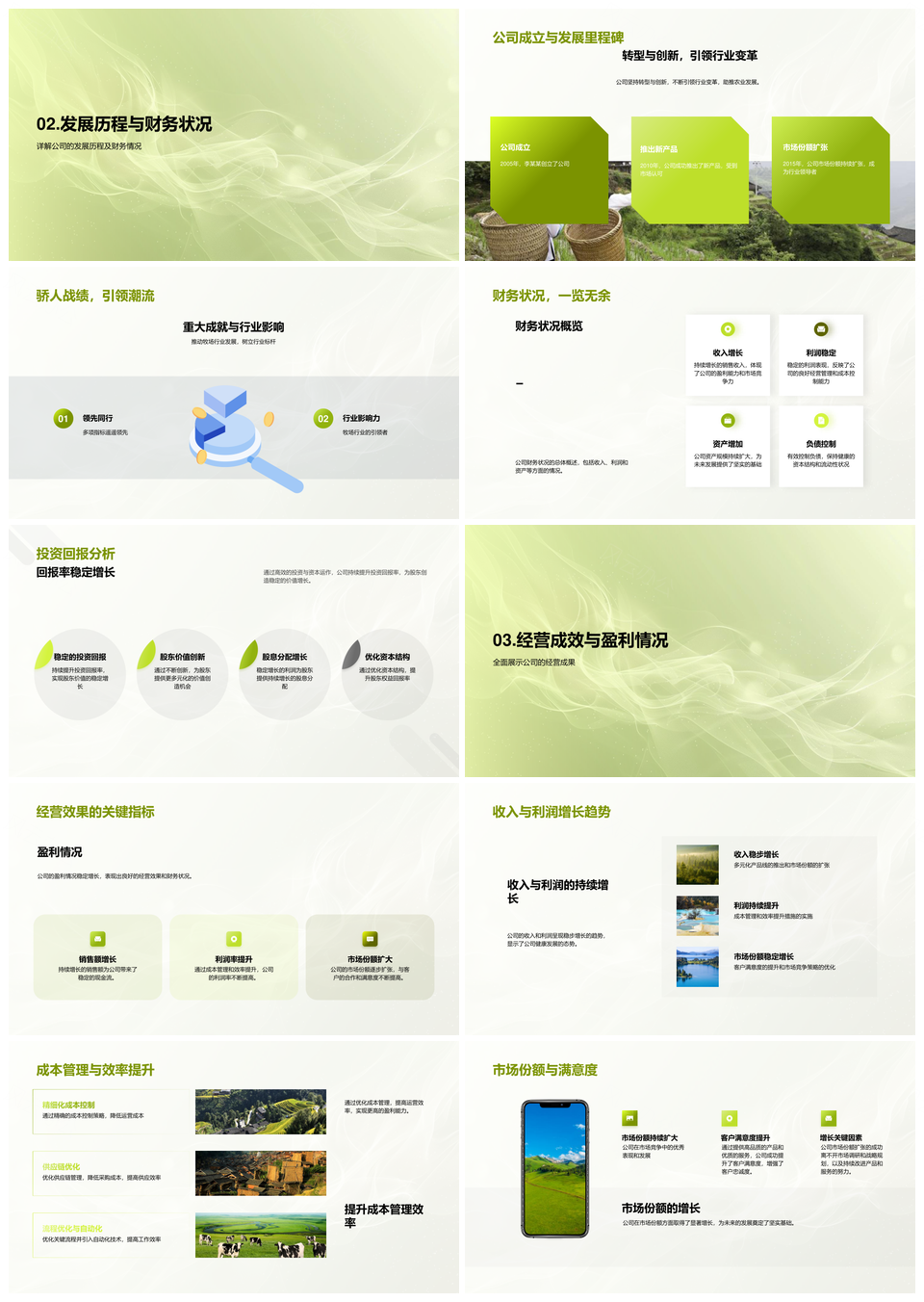 农林牧渔公司经营策略管理财务市场述职报告PPT模板