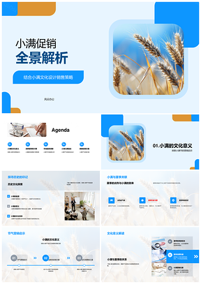 小满促销策略销售趋势与麦穗节气分析PPT模板