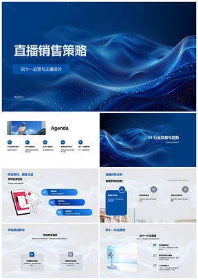 2025双十一直播带货销售策略培训选品互动转化PPT模板
