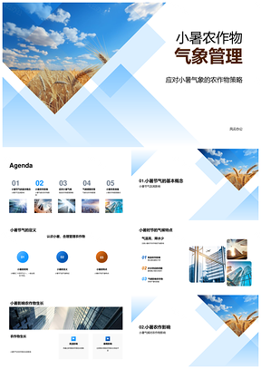 小暑农作物高温暴雨管理策略PPT模板